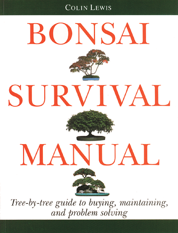bonsai care tree